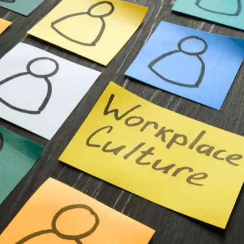 Points of Culture