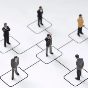 People in org chart