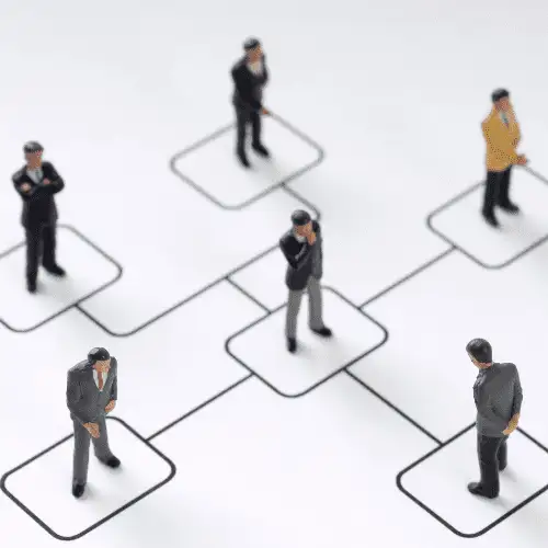 People in org chart